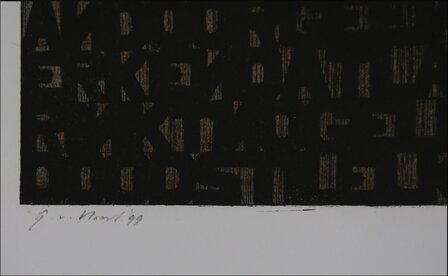 Gijs van Noort - Dreams on a scan - 70 x 79,5 cm - Zeefdruk op papier