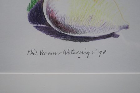 Phil Vermeer-Weterings - zonder titel - ingelijst