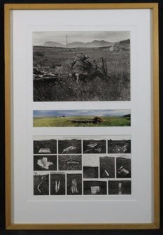 Ronald van Schaik - zonder titel, drieluik, foto - 112,5 x 76 cm - foto op fotopapier