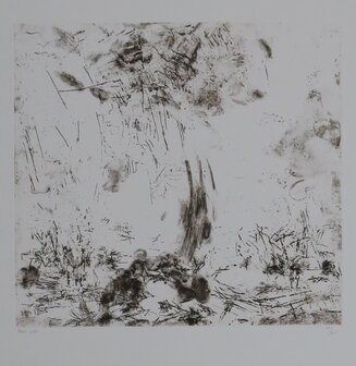 Wilfred Voet - Landschap - 65 x 50 cm - Ets op papier