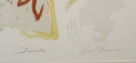 Bert Braam - Desira - 105,5 x 87,5 cm - Zeefdruk op papier - ingelijst