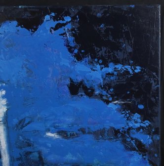 Carolina Paulussen - 80 x 160 - acryl op doek - op spieraam met ophangsysteem