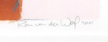 Ron van der Werf - Symphonie II - 93 x 83 cm - zeefdruk op papier - in houten lijst