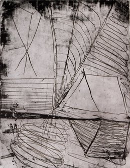 Cees Dolk - Piropo -  77 x 60 cm - Zeefdruk op papier