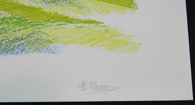 Amy Zillweger - Val da cam - 65 x 50 cm - litho op papier