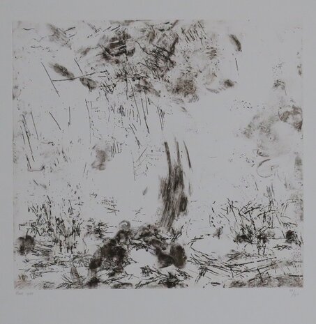 Wilfred Voet - Landschap - 65 x 50 cm - Ets op papier