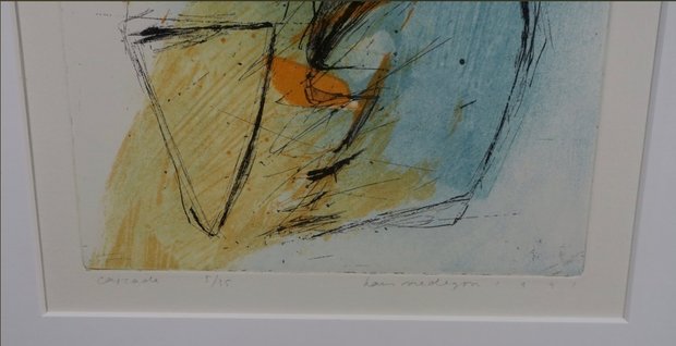 Hans Vredegoor - Cascade - 98 x 59 cm - Ets en aquatint op papier - in houten lijst
