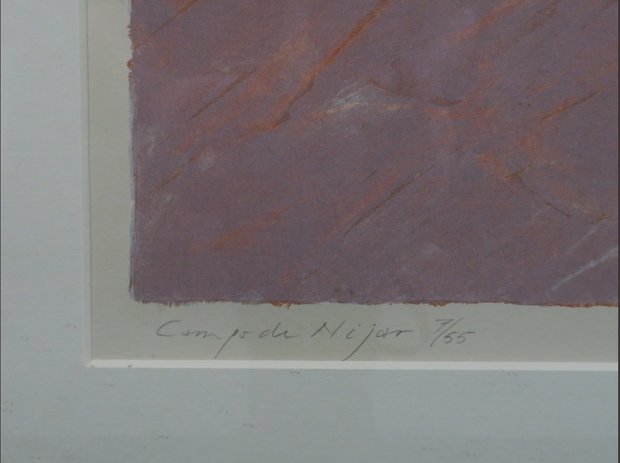 Jan Hein van Rooy - Campo di Nijar - Litho op papier - 72,5 x 83 cm - in houten lijst
