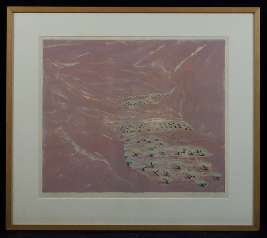 Jan Hein van Rooy - Campo di Nijar - Litho op papier - 72,5 x 83 cm - in houten lijst