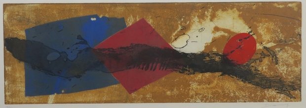 Duck Sung Kang - zonder titel III - kleurenets op papier - 48 x 94 cm - ingelijst