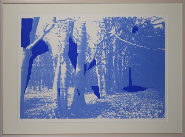 Dick Donker - Zonder titel - 83 x 113 cm - Zeefdruk op papier - in houten lijst